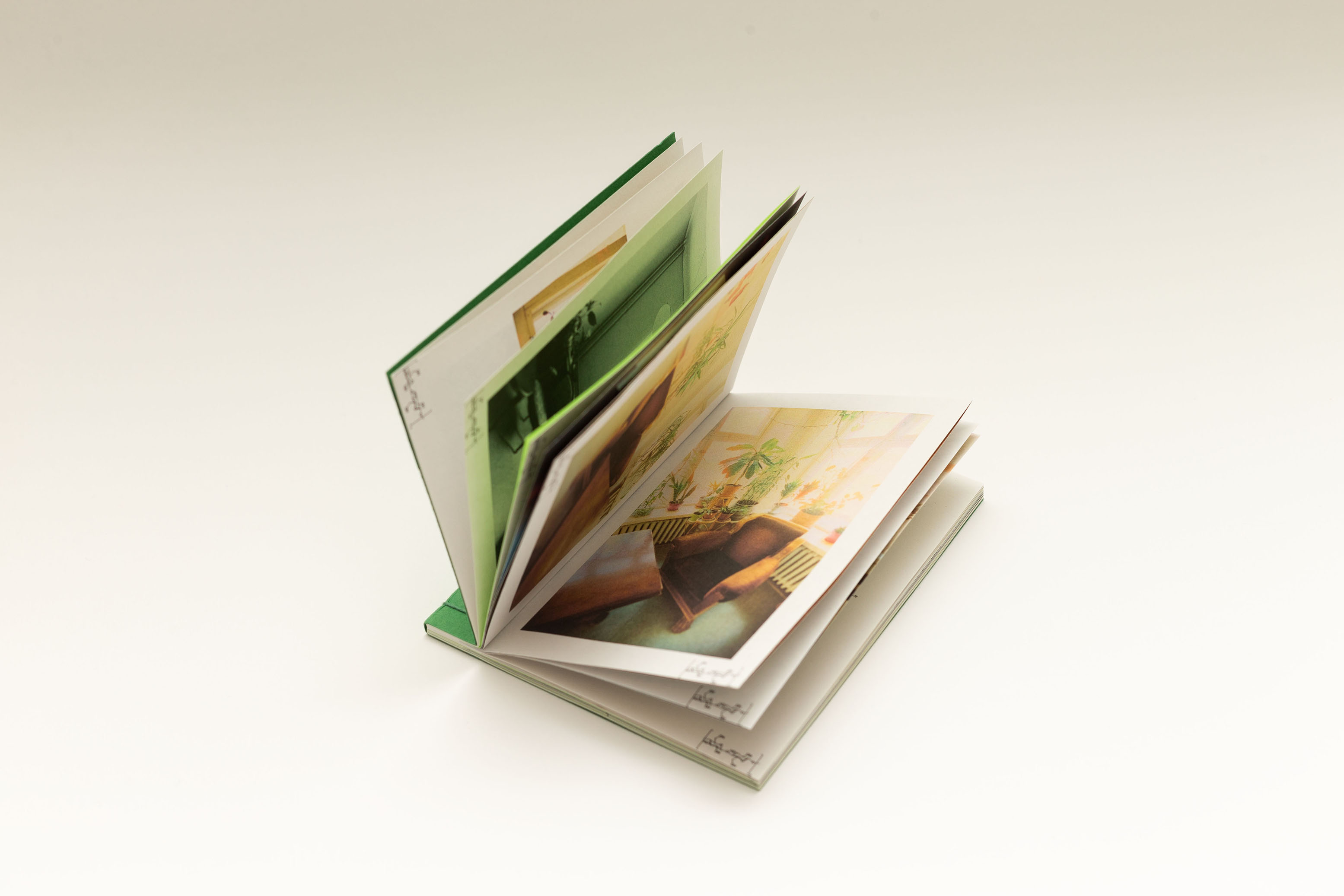 image ../../public/projects/chlorophyll/hero2.jpg